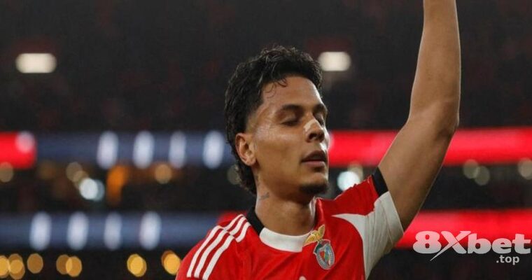 Trải nghiệm bất ngờ với ok9 cá cược bóng đá trong kỳ World Cup 2026